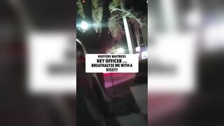 Hooters Beauty From Florida Tries To Use Her Wealth To Avoid Drunk Driving