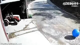 Follow The Bouncing Blue Ball