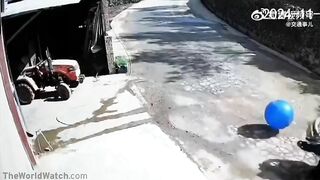 Follow The Bouncing Blue Ball