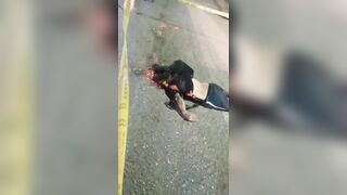 Football Fan's Head Smashed