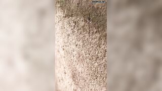 Four Workers Were Electrocuted