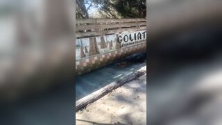 Go Look Around The Fucking Place