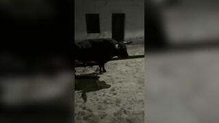 Fucked A Policeman, Then Found Out