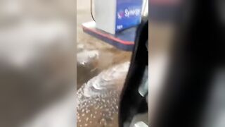 Girl And Gas Station