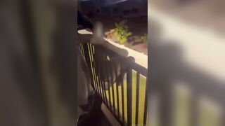 Tomorrow I Will Feel