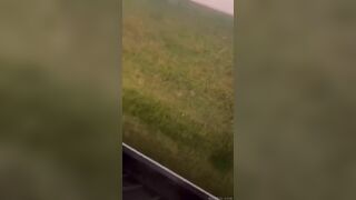 Tomorrow I Will Feel