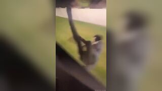 Tomorrow I Will Feel