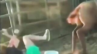 I'm Just Posting This For A Laugh On Christmas Morning