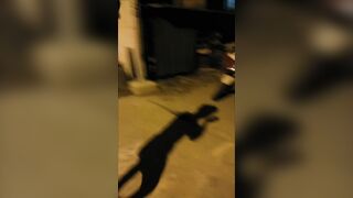 Idiot Uses Fuse To Light Firecrackers And Holds Firecrackers