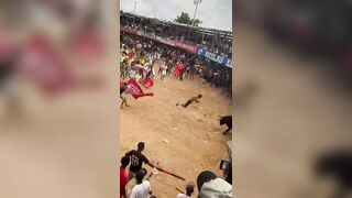 Idiot Trying To Headbutt A Charging Bull