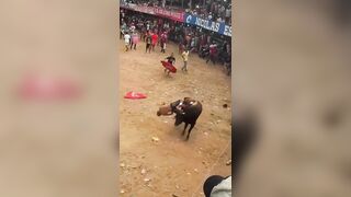Idiot Trying To Headbutt A Charging Bull