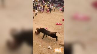 Idiot Trying To Headbutt A Charging Bull