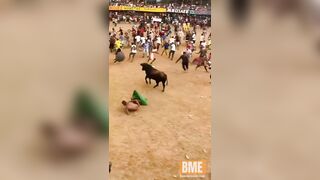 Idiot Trying To Headbutt A Charging Bull