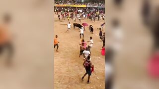 Idiot Trying To Headbutt A Charging Bull