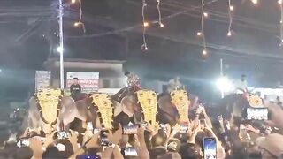 Indians Use Their Cell Phones To Run Against Angry Elephants