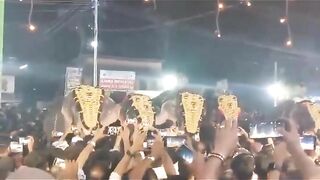 Indians Use Their Cell Phones To Run Against Angry Elephants