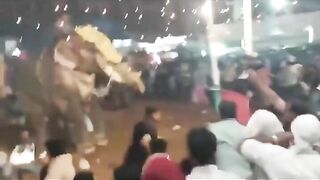 Indians Use Their Cell Phones To Run Against Angry Elephants
