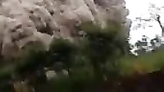 Indonesia's Semeru Volcano Erupts, Spewing Ash