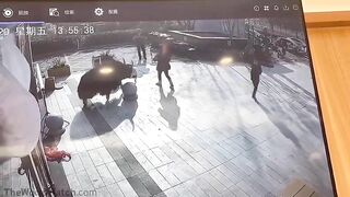 Innocent Girl Gets Too Close To A Huge Bull