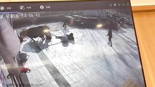 Innocent Girl Gets Too Close To A Huge Bull