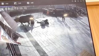 Innocent Girl Gets Too Close To A Huge Bull