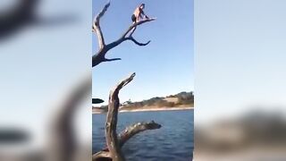 Jump From A Dead Tree