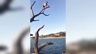 Jump From A Dead Tree
