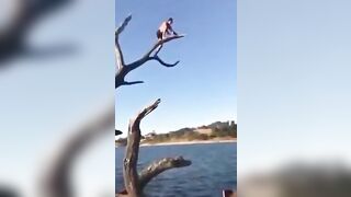 Jump From A Dead Tree