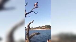 Jump From A Dead Tree