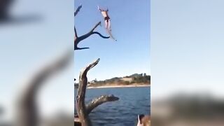 Jump From A Dead Tree