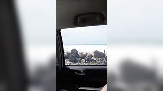 Breathe Fresh Sea Air