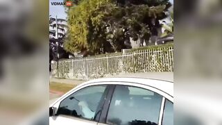 Man Drives Mercedes Through Crowd Of Punks Blocking Street