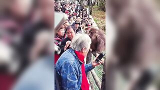 Monkey Tries To Bite Wrong Person's Face Off