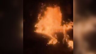 Idiot Jumps Into A Burning Bonfire And Burns Himself