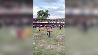 Idiots Can't Last More Than A Second Fighting A Bull