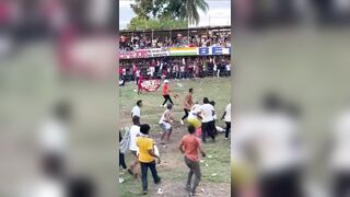 Idiots Can't Last More Than A Second Fighting A Bull