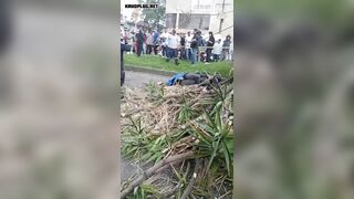 Motorcyclist Crushed To Death By Falling Tree