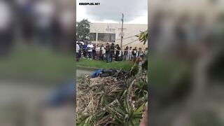 Motorcyclist Crushed To Death By Falling Tree