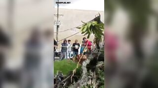 Motorcyclist Crushed To Death By Falling Tree