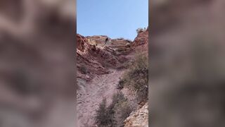 Mountain Biker Breaks Neck, Crashes Headfirst Into Hill