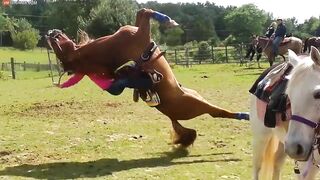 Down: Horse Rolls Backwards Onto Rider - Video