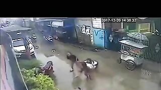 Girl Involved In Funny Two-wheeler Accident - Video - VidMax Co