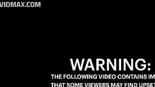 Brutal Moment: Car Rams Bull At 180km/h