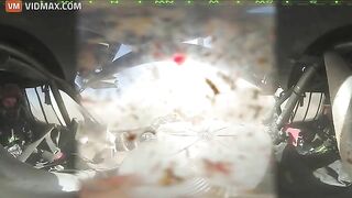 Brutal Moment: Car Rams Bull At 180km/h