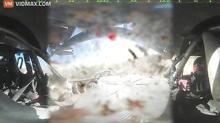 Brutal Moment: Car Rams Bull At 180km/h