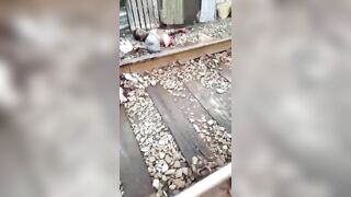 The Number Of Men Is Only Half Of What It Used To Be