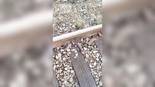 The Number Of Men Is Only Half Of What It Used To Be