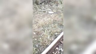 The Number Of Men Is Only Half Of What It Used To Be