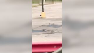 Naked Man Hits And Runs Away