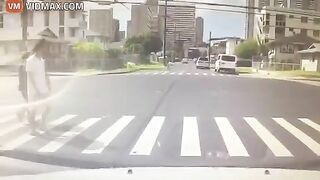 Honolulu Woman Didn't Notice Dog Jumping Out Window